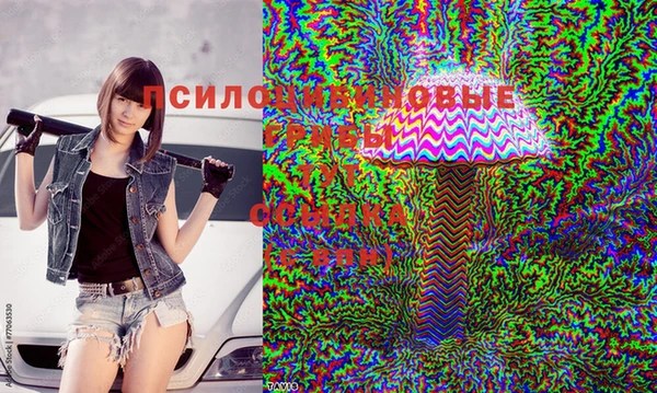 твердый Алексеевка