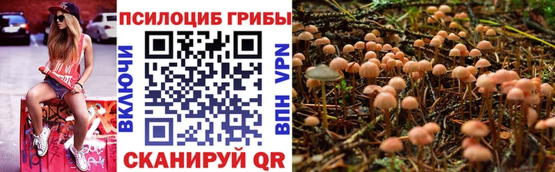 Псилоцибиновые грибы MAGIC MUSHROOMS Навашино